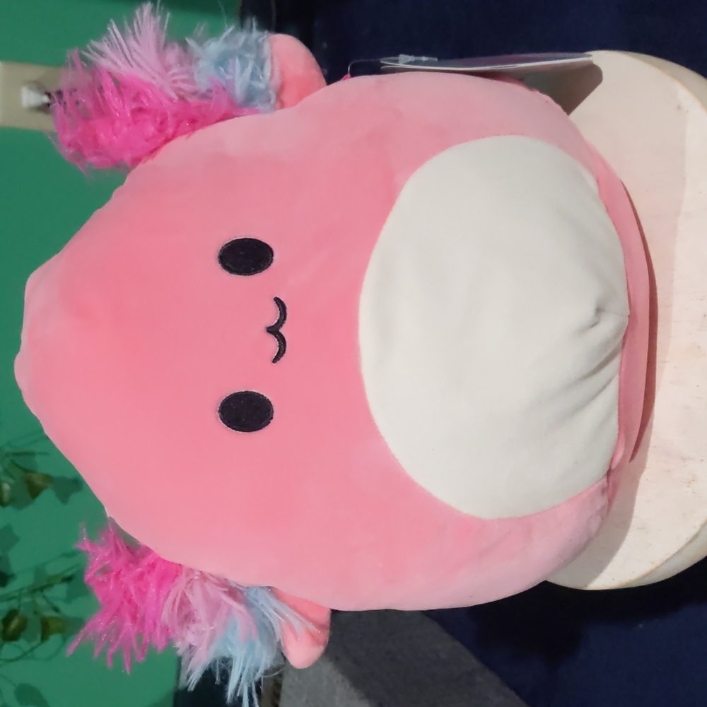 Florent the squishmallow